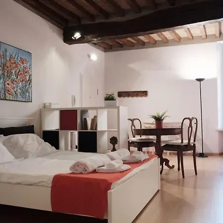 Monolocale Nel Centro Storico Apartment Parma